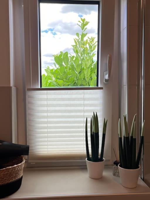 Appartement Buechensaal Mit Stellplatz Erlensee ภายนอก รูปภาพ